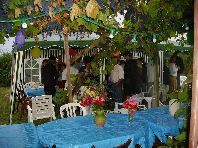 IMGP0542