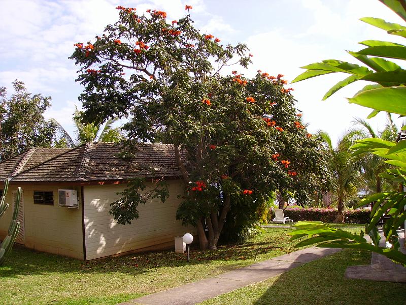 IMGP5412.JPG