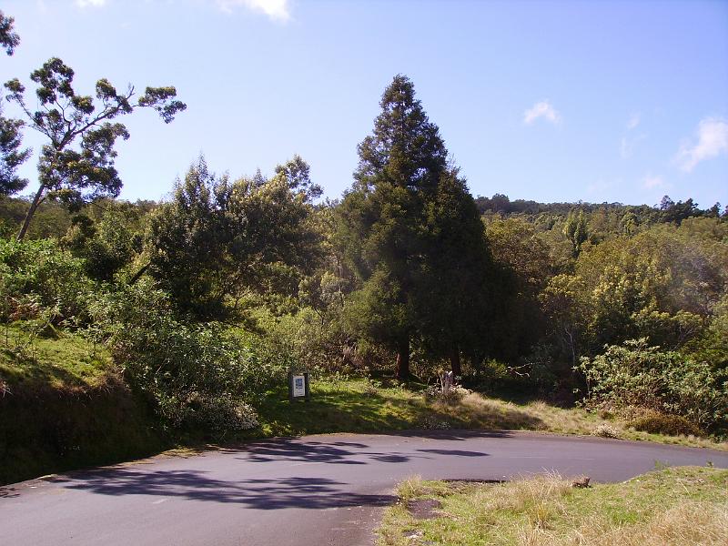 IMGP5500.JPG