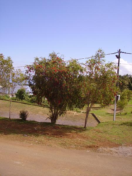 IMGP5503.jpg
