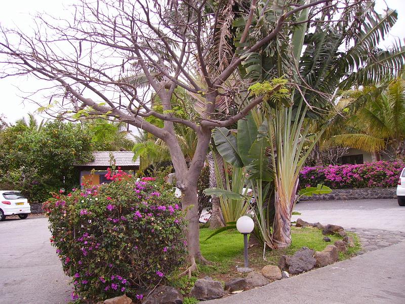 IMGP5506.JPG