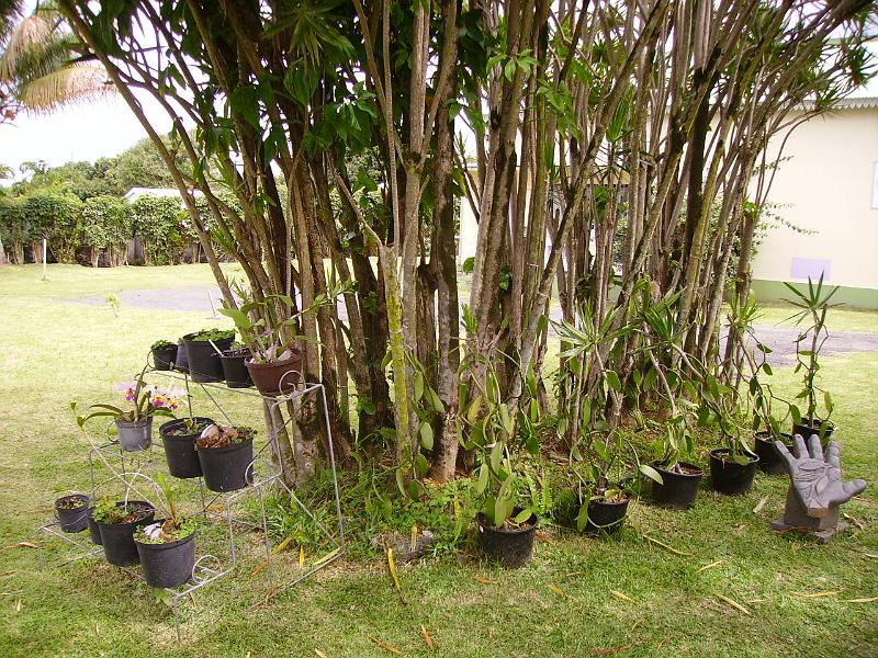 IMGP5545.JPG