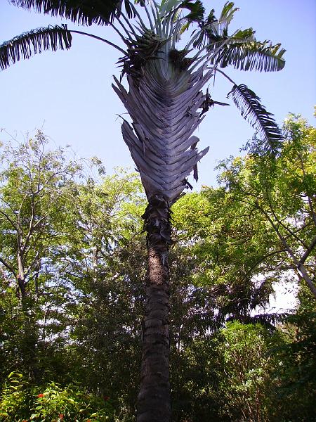 IMGP5682.jpg