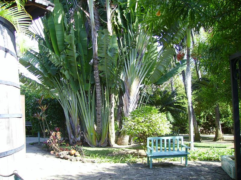 IMGP5705.JPG