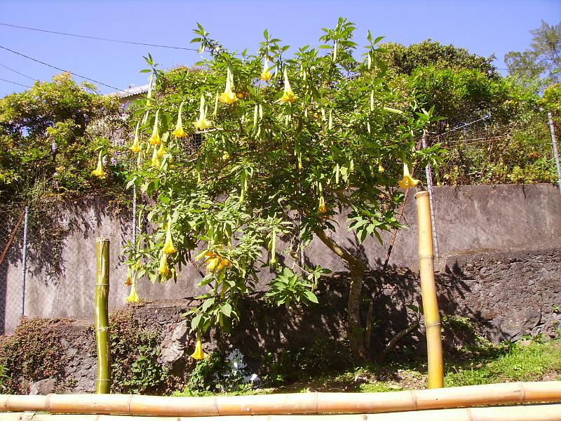 IMGP5566.JPG