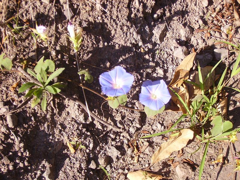 IMGP5627.JPG