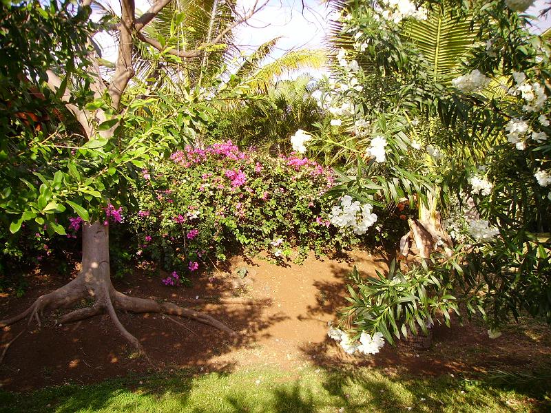 IMGP5657.JPG