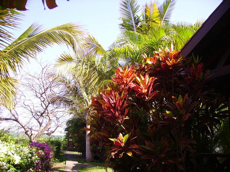 IMGP5660.JPG