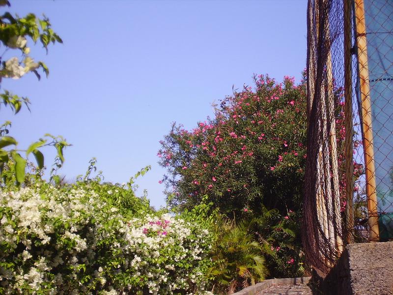 IMGP5662.JPG