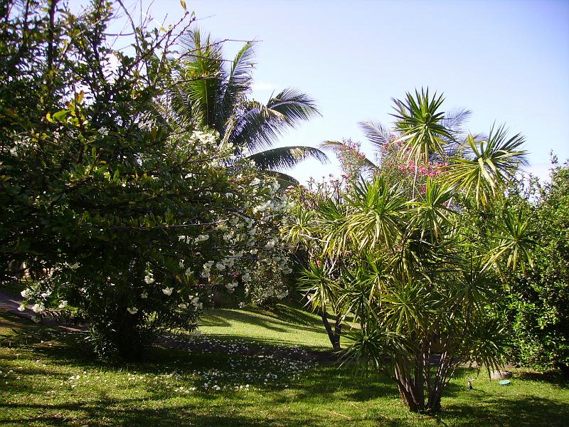 IMGP5663.JPG