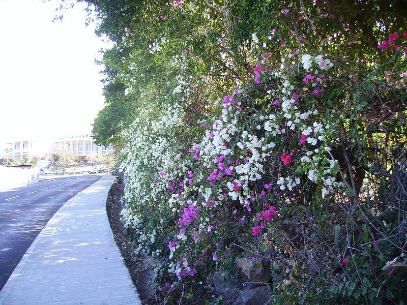 IMGP5665.JPG