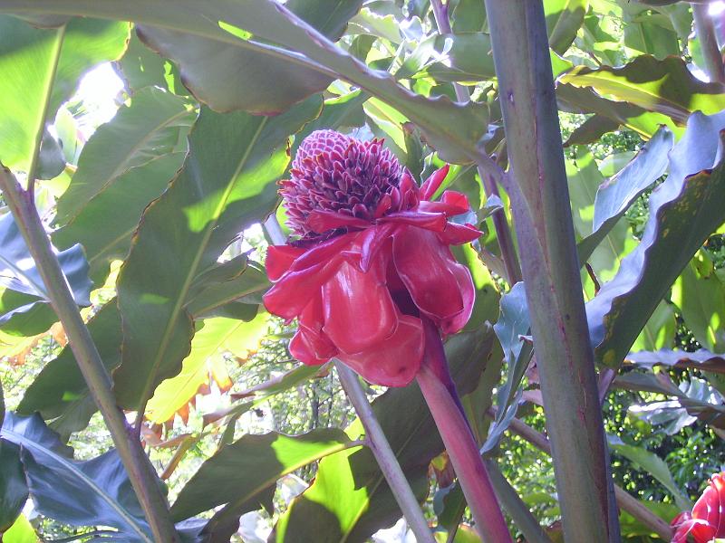IMGP5681.JPG