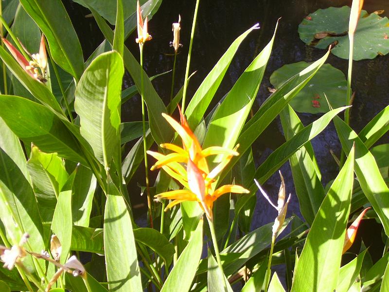 IMGP5699.JPG