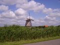 IMGP7156