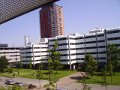 Rotterdam