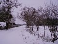 IMGP6802