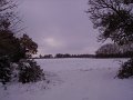 IMGP6806