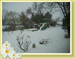 neige11