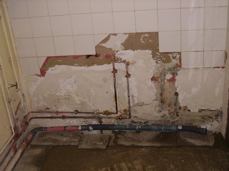 IMGP4973.JPG